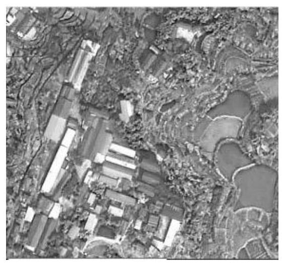 Urban forest monitoring method based on cooperation of high-resolution remote sensing data and ground survey data