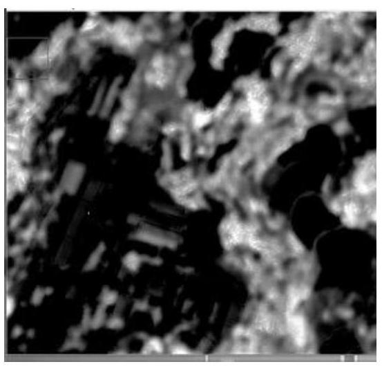 Urban forest monitoring method based on cooperation of high-resolution remote sensing data and ground survey data