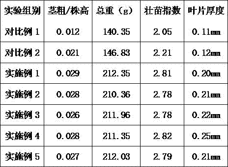 Nutritional soil for cultivating eggplant seedlings and preparation method of nutritional soil