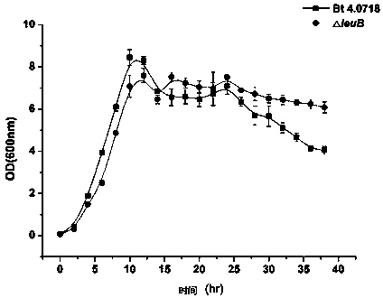 Bacillus thuringiensis with high insecticidal performance and environmental friendliness and application thereof