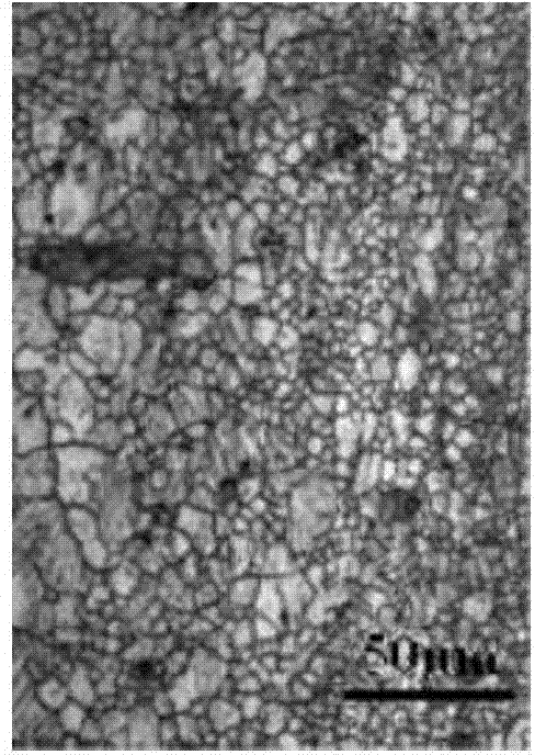 Extruding method for texture-weakened magnesium alloy sheet