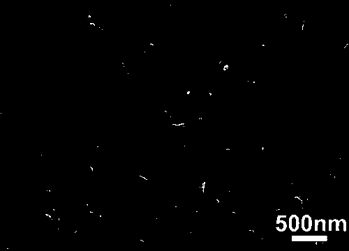 An electrochemical working electrode for sensing tyrosine