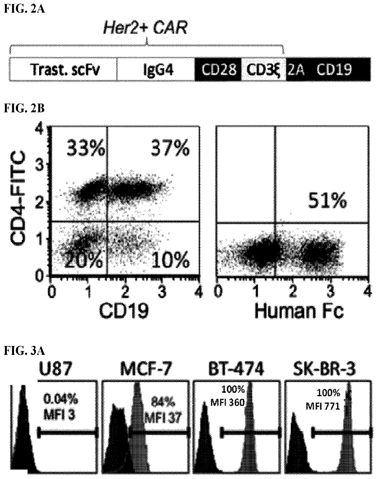 Use of endogenous viral vaccine in chimeric antigen receptor T cell therapy