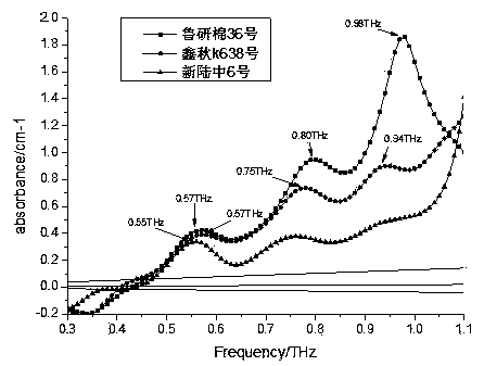 Genetically modified cotton variety recognition method