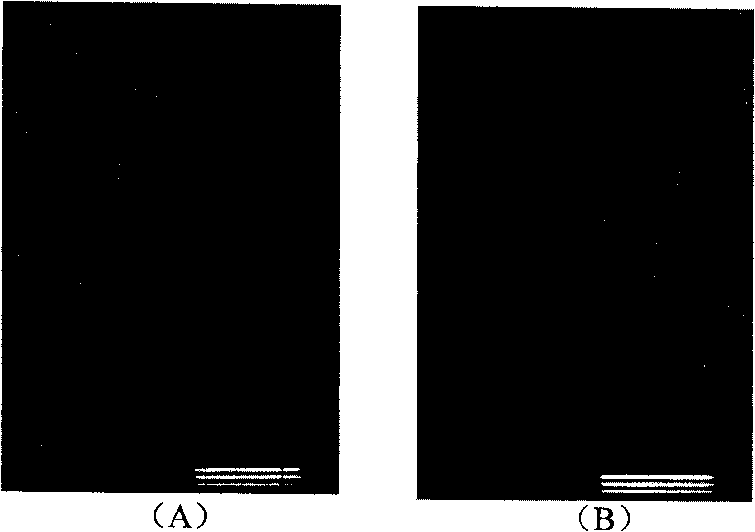 Polyphenols compound modified by azo-containing heterocyclic and use thereof