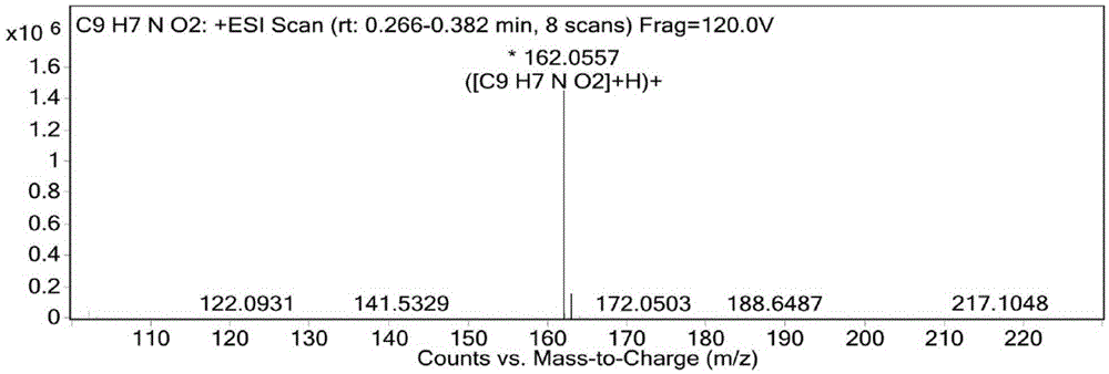 Dihydroxy isoquinoline and preparation method and application thereof from centipedes