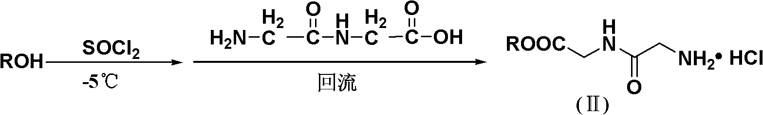 Cis-nitenpyram analogue containing glycylglycine, its preparation method and its application