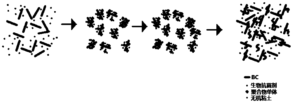 Enzyme-loaded bacterial cellulose-based composite antibacterial hydrogel dressing and preparation method thereof