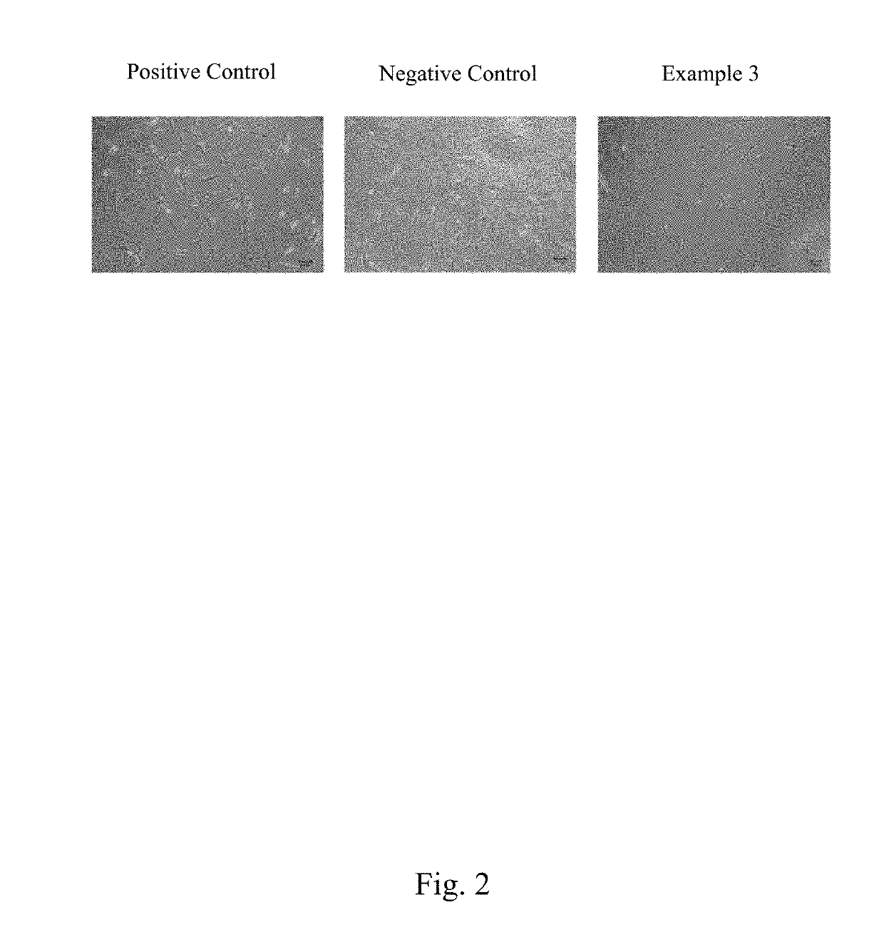 Waterborne Polyurethane Complex and Composition