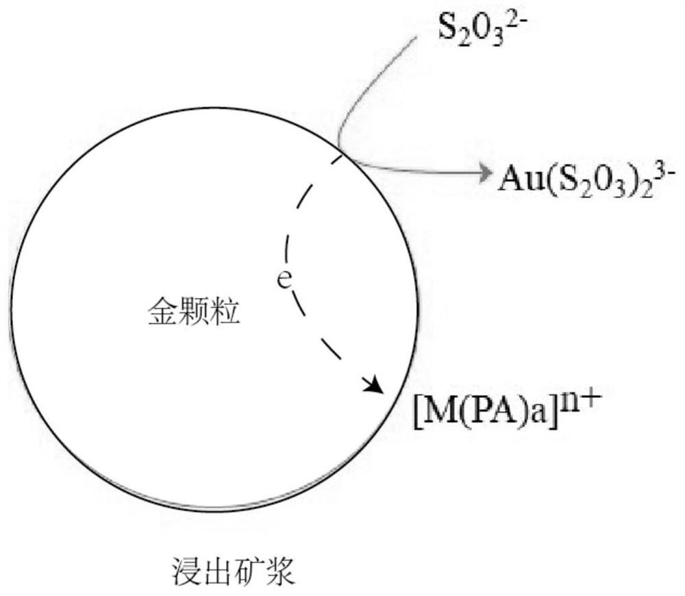 Thiosulfate gold leaching method and application