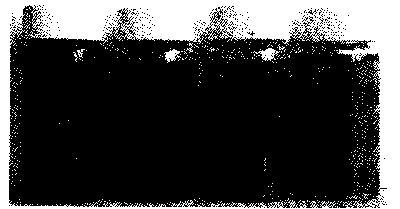 Method for producing graphene