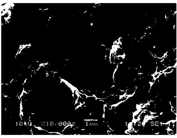 Method for preparing rapid high oil absorption resin by using macromolecule pore-foaming agent