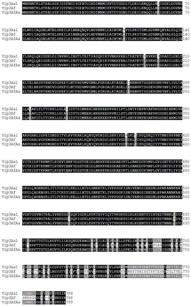 Bacillus thuringiensis vegetative insecticidal protein Vip3AfAa and coding gene thereof, and their applications