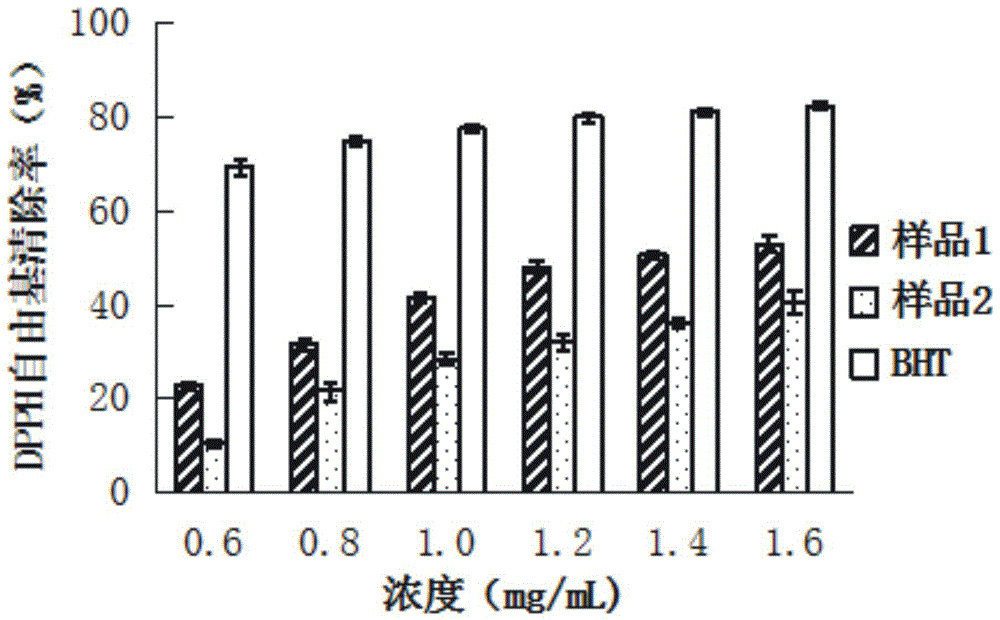 Kiwi fruit enzyme and preparation method thereof