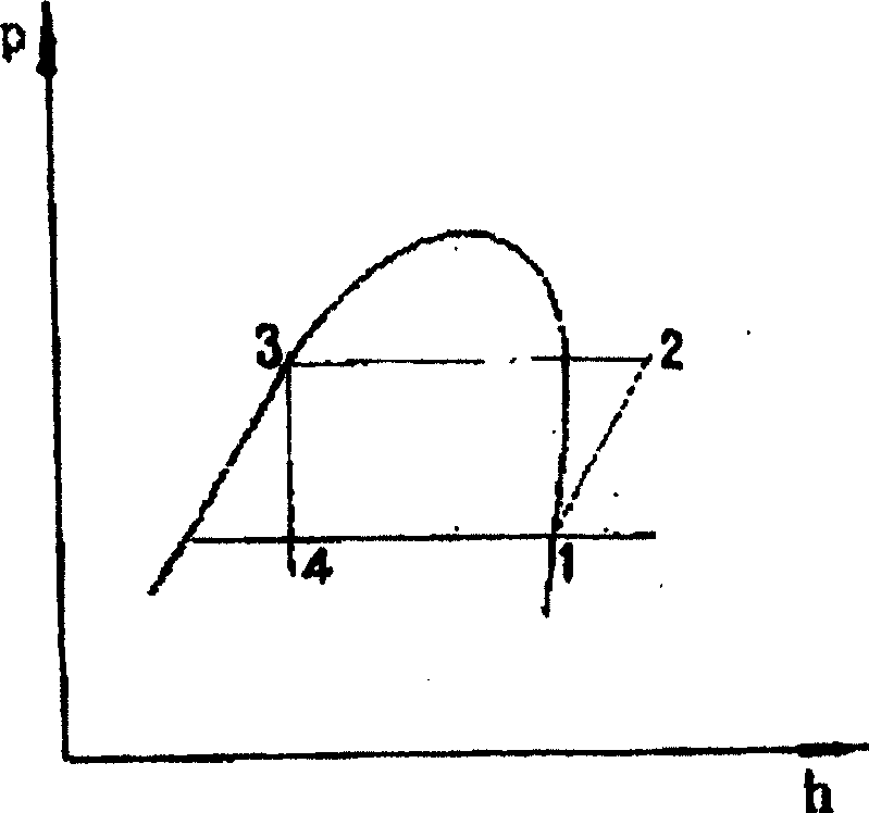 A gear type compressor