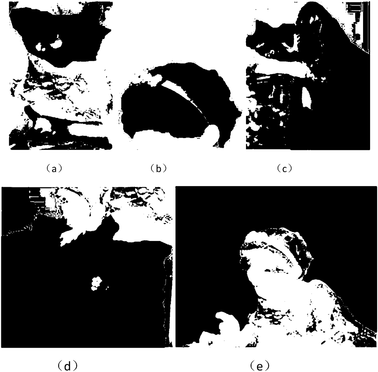 An Artistic Stylized Image Processing Method