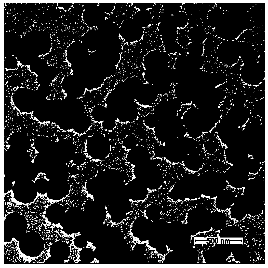 A kind of preparation method of nano collagen peptide chelated zinc