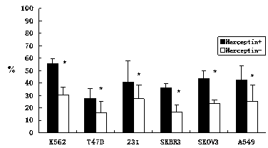 In-vitro culture method of NK (natural killer) cells