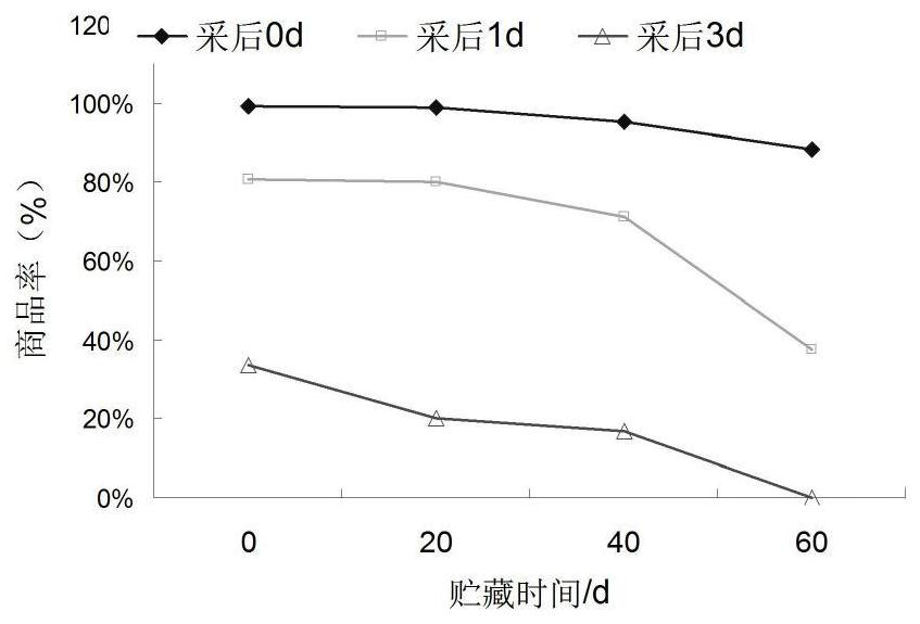 A Gradient Pre-cooling Method Applicable to Red Globe Grapes