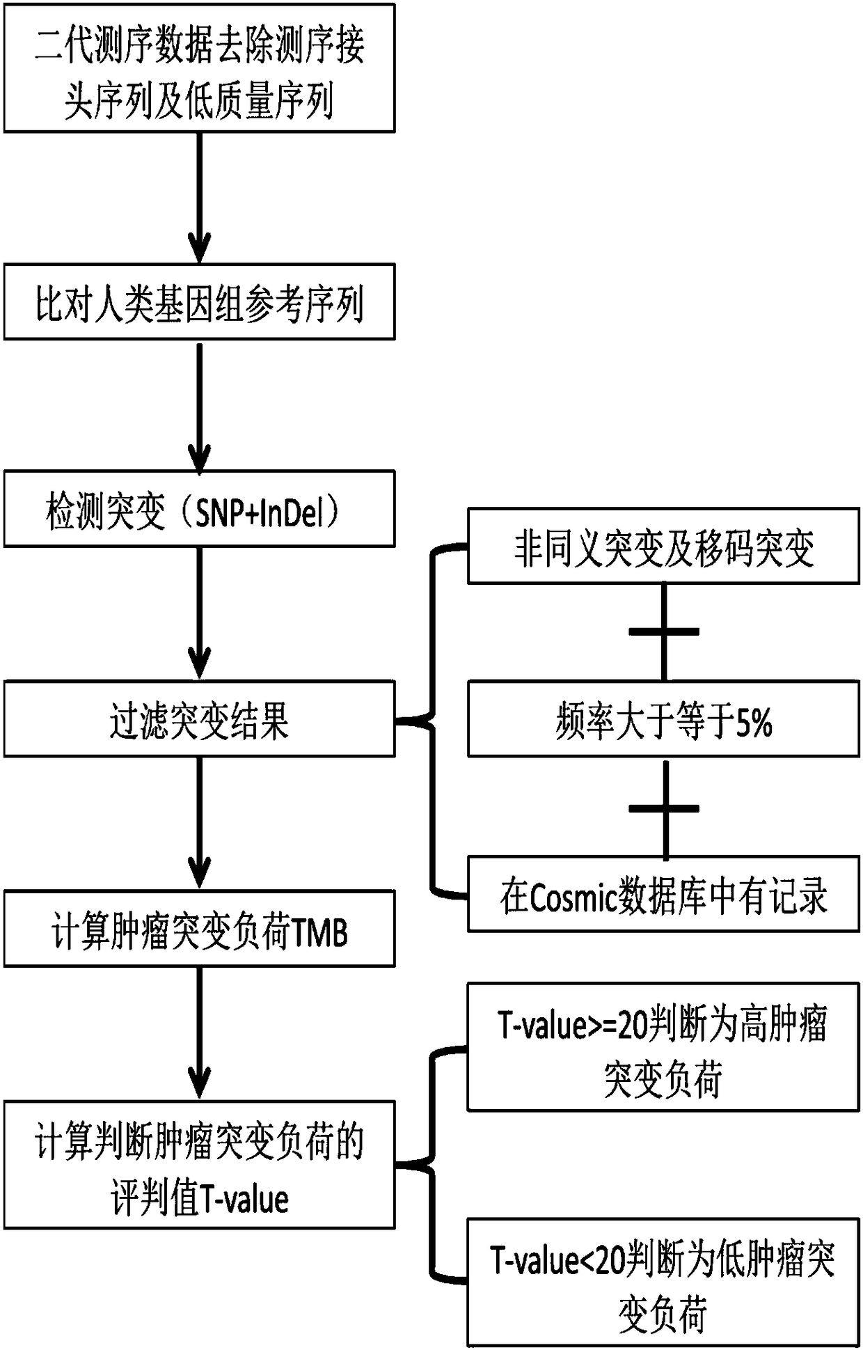 Method for analyzing tumor mutation load on the basis of next-generation sequencing data of single sample