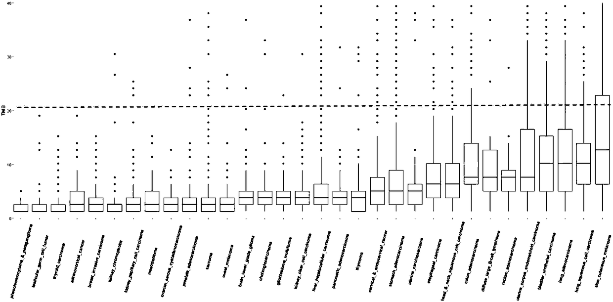 Method for analyzing tumor mutation load on the basis of next-generation sequencing data of single sample