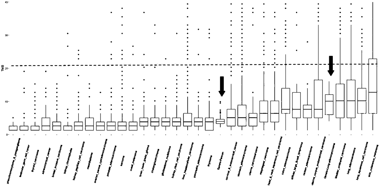 Method for analyzing tumor mutation load on the basis of next-generation sequencing data of single sample