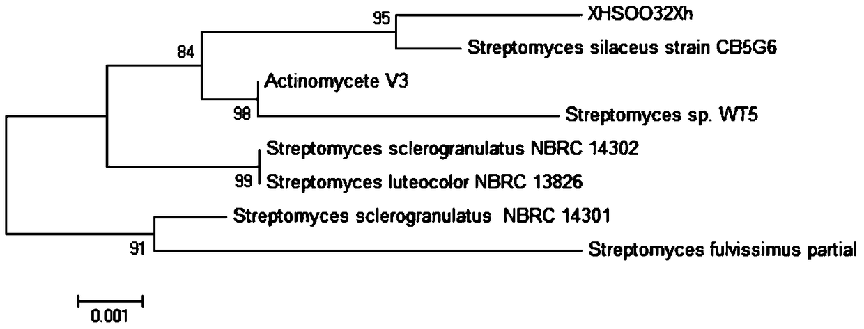 A compound soil remediation agent and its application in greenhouse soil remediation