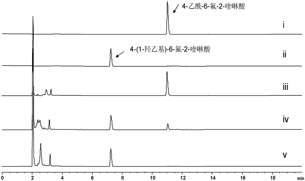 Function and application of a short-chain dehydrogenase tsru