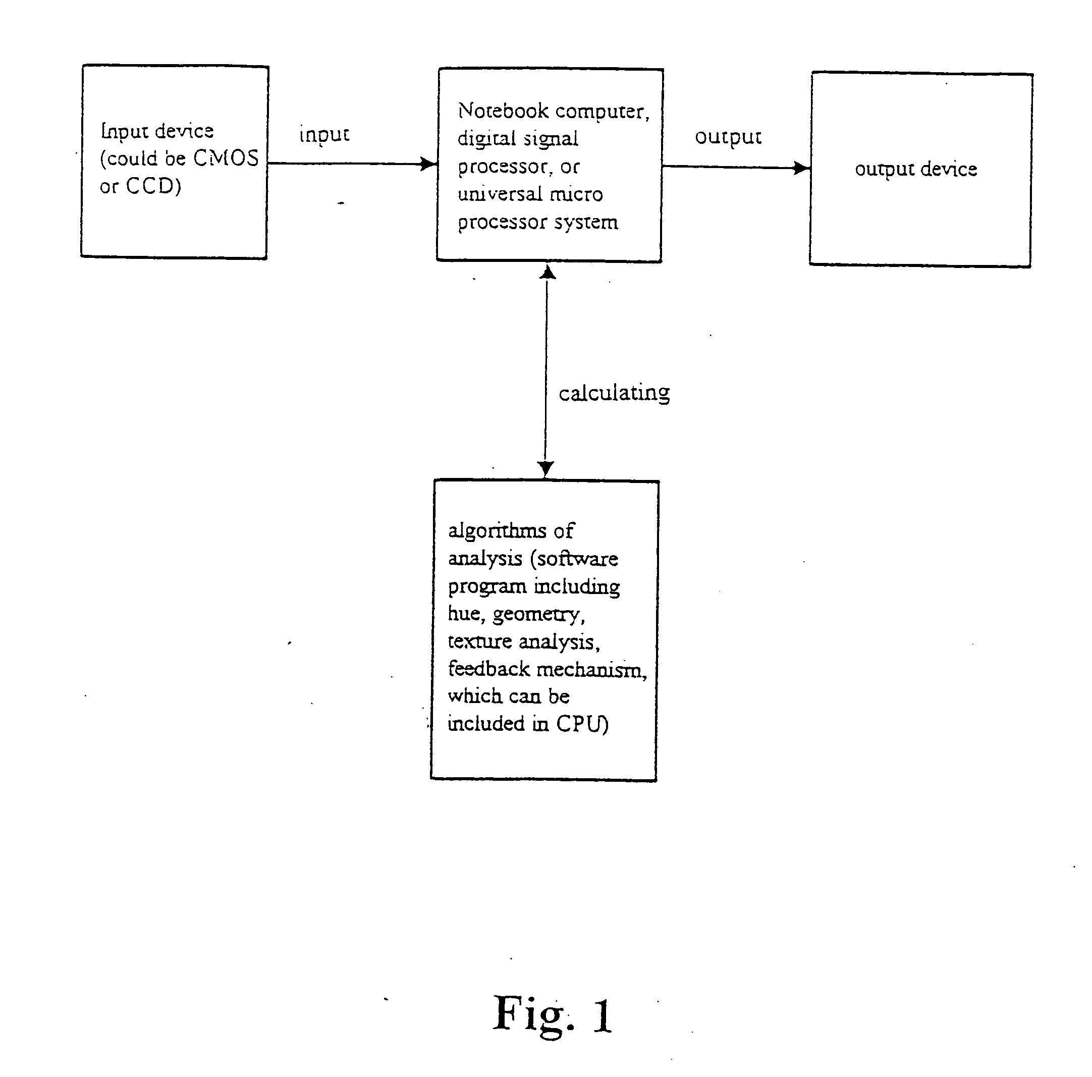 Apparatus and method for identifying surrounding environment by means of image processing and for outputting the results