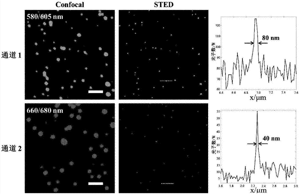 Multi-color stimulated radiation exhaustion super-resolution imaging device and method thereof, and optical microscope