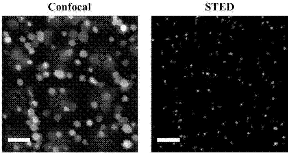 Multi-color stimulated radiation exhaustion super-resolution imaging device and method thereof, and optical microscope