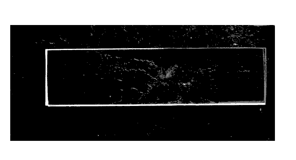 Process for preparation of self healing microcapsules