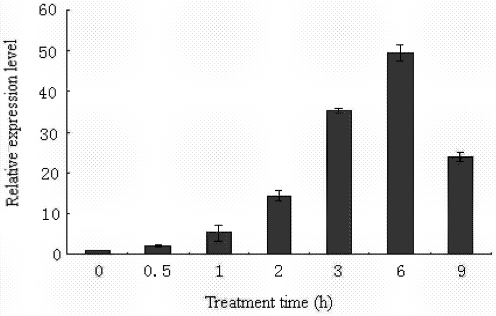 A kind of Antarctic ice alga cpd photorepair enzyme, its coding gene and expression vector and the application of the enzyme