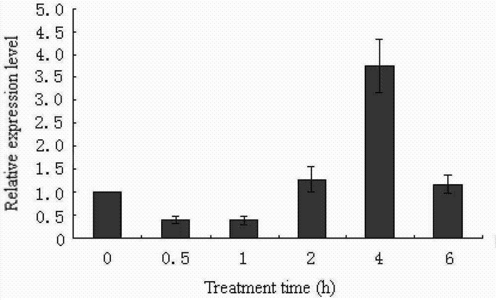 A kind of Antarctic ice alga cpd photorepair enzyme, its coding gene and expression vector and the application of the enzyme