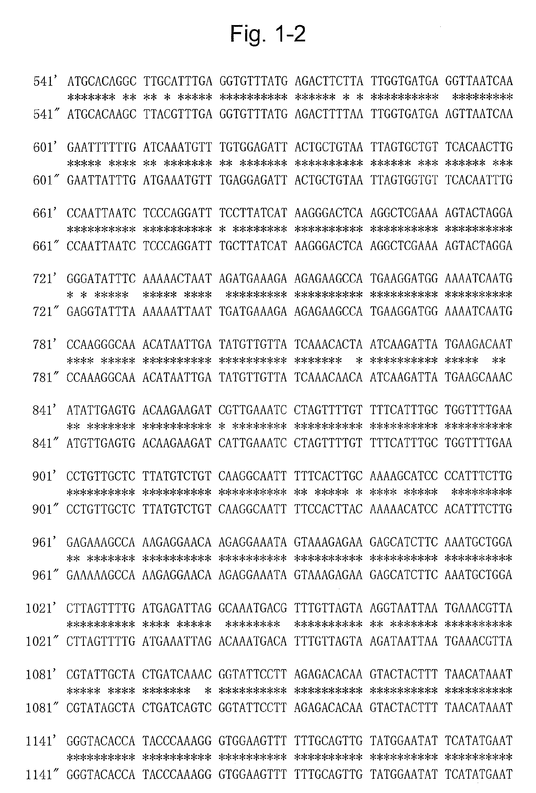 Protein having glycoalkaloid biosynthetic enzyme activity and gene encoding the same