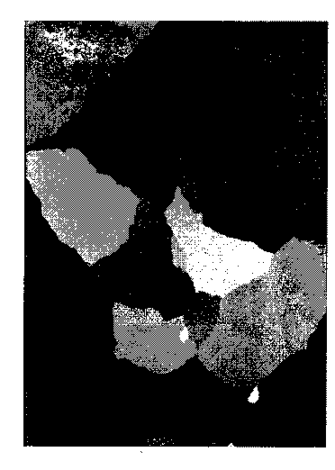 Preparation method of low-temperature GO-oriented silicon steel