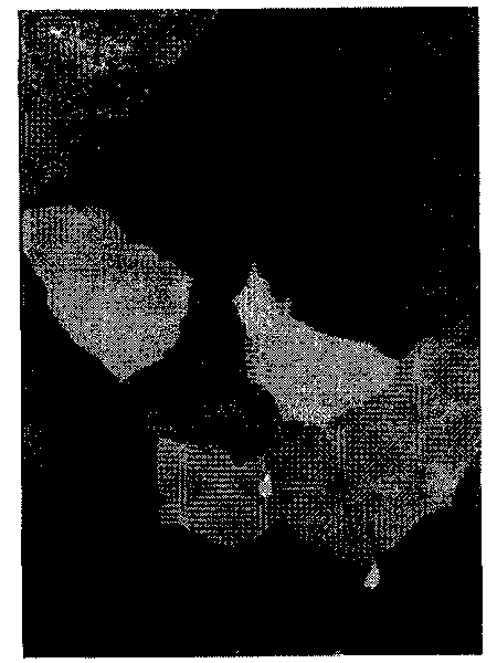 Preparation method of low-temperature GO-oriented silicon steel