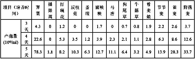 Liquid fermentation culture medium for colletotrichum spore production