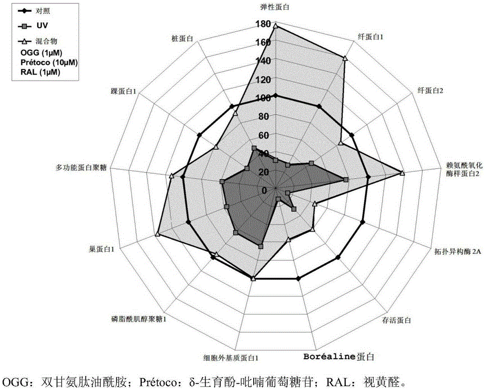 Cosmetic or dermatological compositions combining retinaldehyde and glycylglycine oleamide, and the cosmetic or dermatological uses thereof