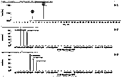 Method for identifying cubilose and adulterants thereof by utilizing feature tag peptide fragments