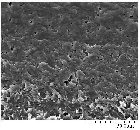 Composite crosslinking amylomaize based fully degradable material and preparation method thereof