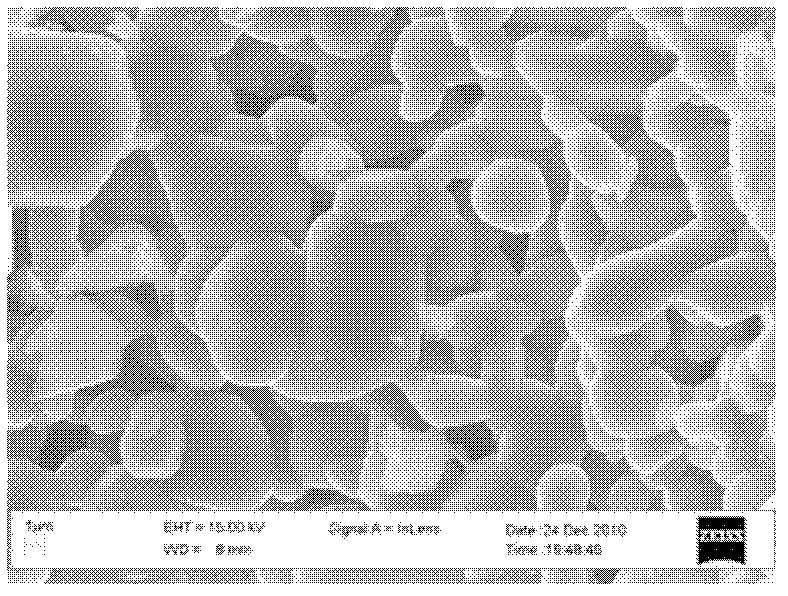 Carbon nanotube/silicon carbide foam catalytic composite material and preparation method thereof