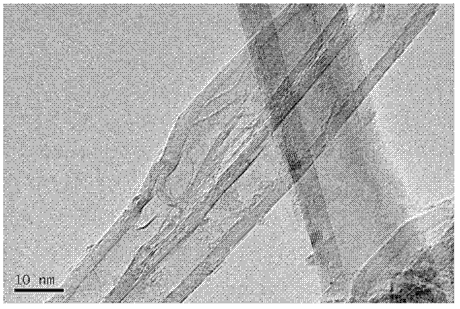 Carbon nanotube/silicon carbide foam catalytic composite material and preparation method thereof