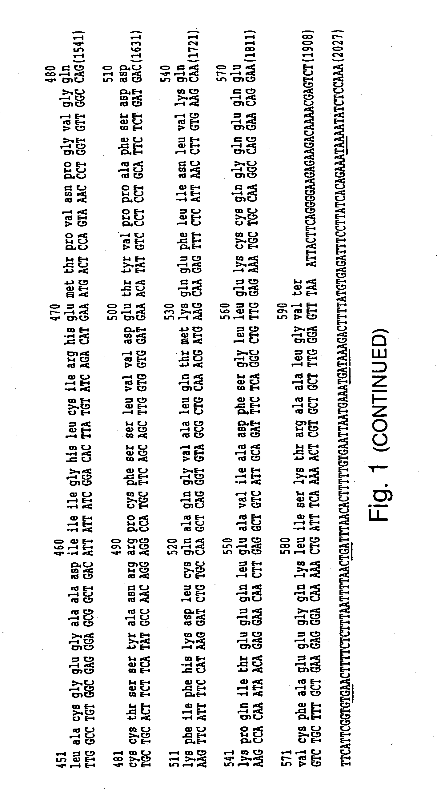 Use of rAFP inhibit or prevent apoptosis