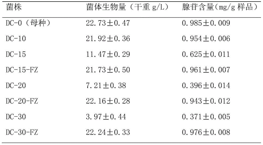 Cordyceps sinensis mycelium fermentation production method