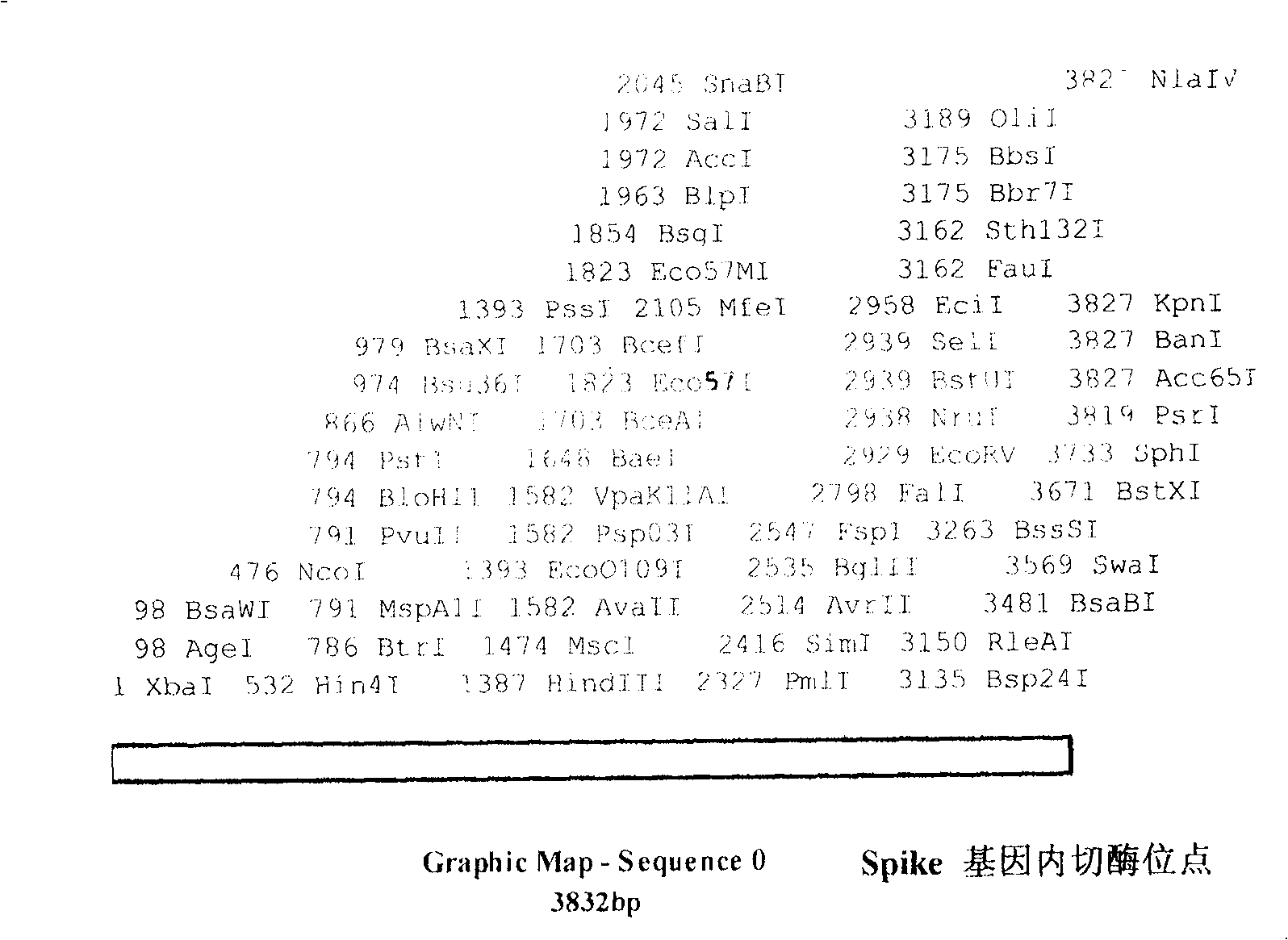 Coronal virus genetic engineering protein and use thereof