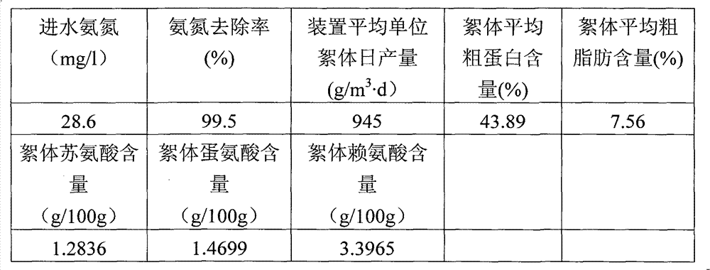 Device and method for protein feed production by recycling of aquaculture wastewater treatment process