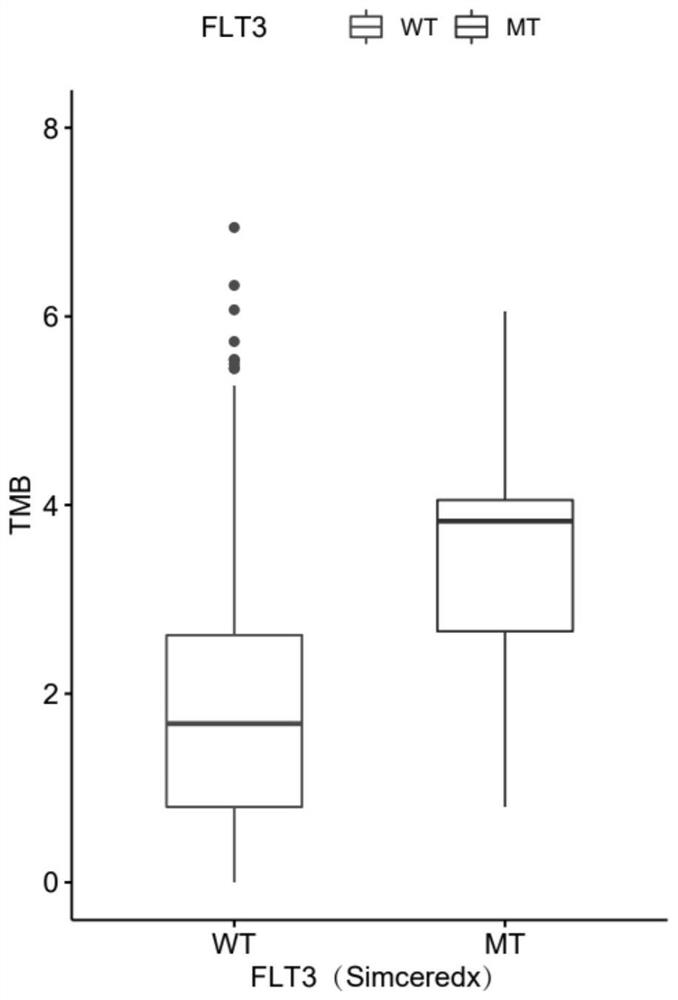 Application of flt3 gene mutation in predicting sensitivity to immune checkpoint inhibitor therapy in patients with non-small cell lung cancer