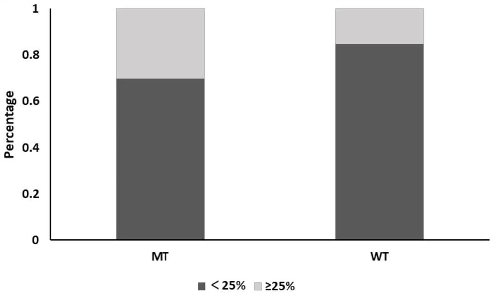 Application of flt3 gene mutation in predicting sensitivity to immune checkpoint inhibitor therapy in patients with non-small cell lung cancer