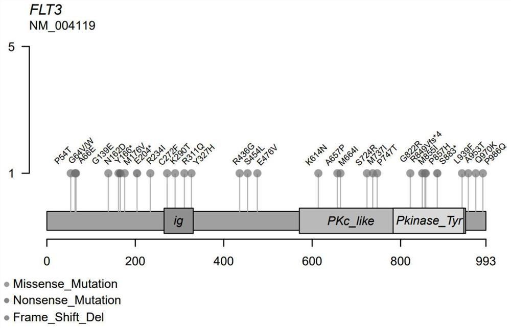 Application of flt3 gene mutation in predicting sensitivity to immune checkpoint inhibitor therapy in patients with non-small cell lung cancer